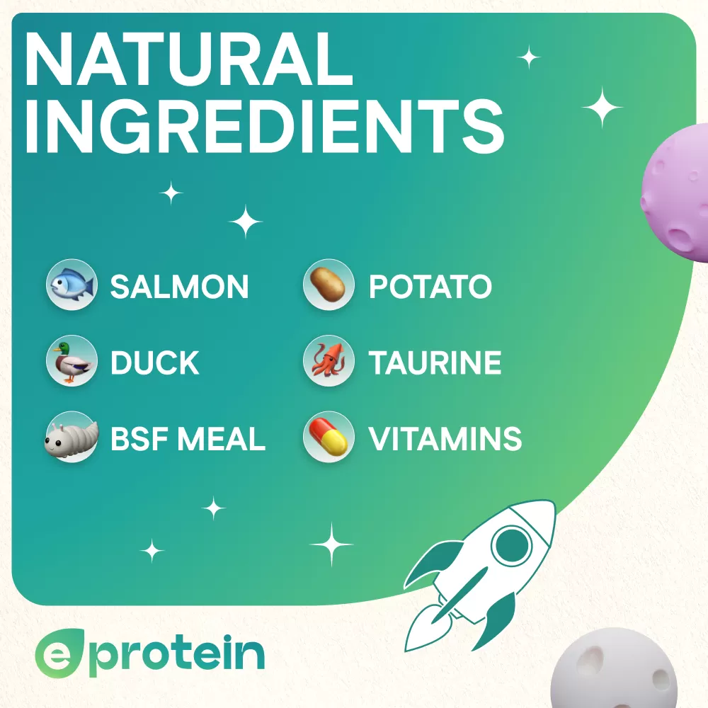 Cat Treats With Salmon Cream, 50g, E-Protein, Hypoallergenic
